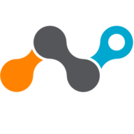 Netskope Logo